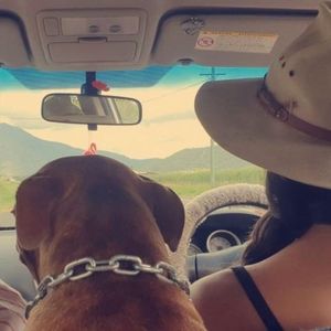 Meet your Posher, Kirilea